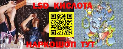 прущие грибы Владимир