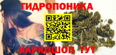 прущие грибы Владимир