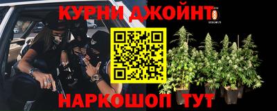прущие грибы Владимир