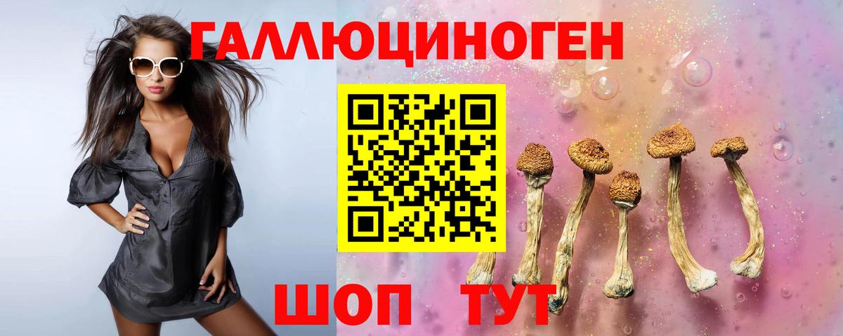 Псилоцибиновые грибы Psilocybe  Псилоцибиновые грибы Psilocybine cubensis  Вход с VPN  Сорочинск 